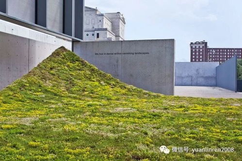 美國圣路易斯當(dāng)代藝術(shù)博物館green varnish景觀藝術(shù)裝置